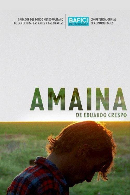 Amaina 2010 official movie poster