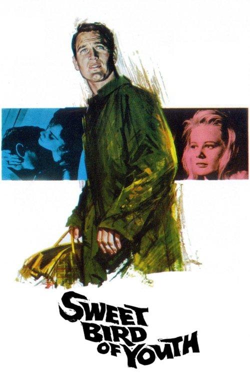 Sweet Bird of Youth 1962 official movie poster