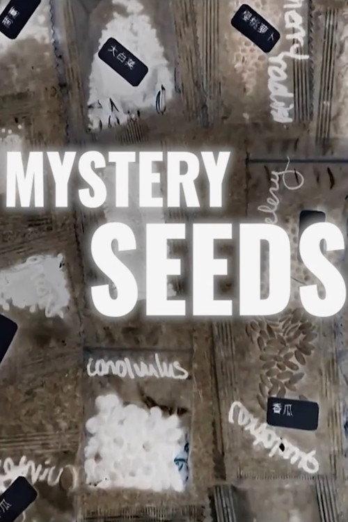 Mystery Seeds 2025 official movie poster