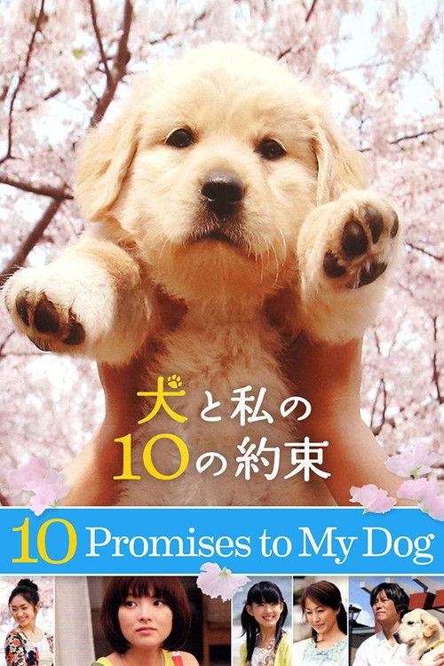 10 Promises to My Dog 2008 official movie poster