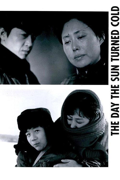 The Day the Sun Turned Cold 1994 official movie poster