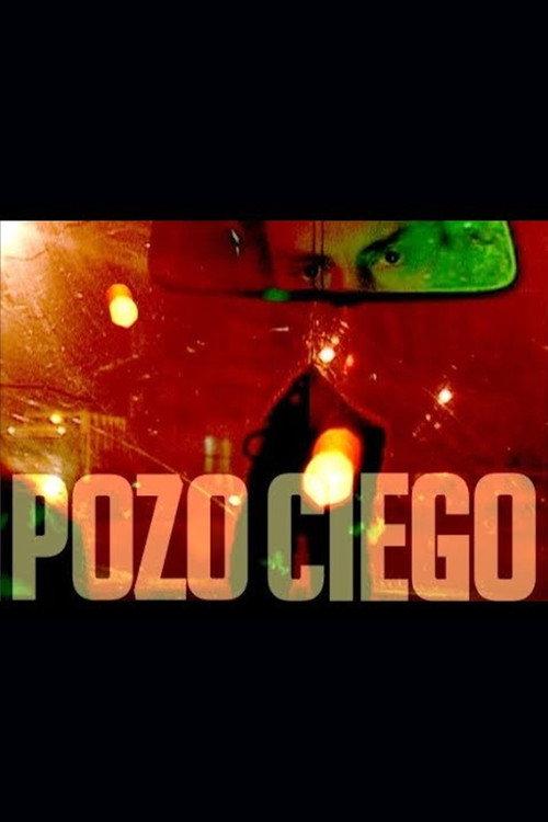 Pozo ciego 2007 official movie poster