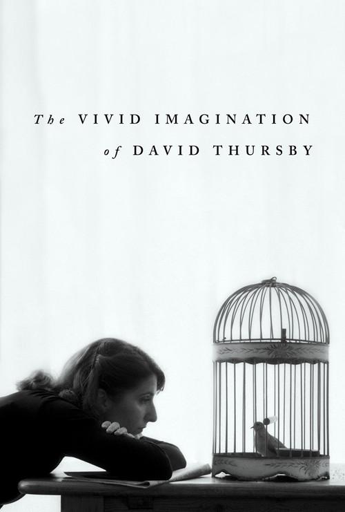 The Vivid Imagination of David Thursby  official movie poster