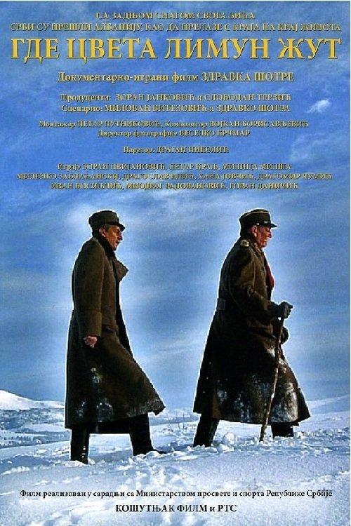 Where the Yellow Lemon Blooms 2006 official movie poster