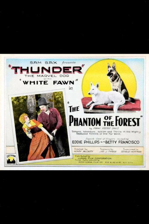 The Phantom of the Forest 1926 official movie poster