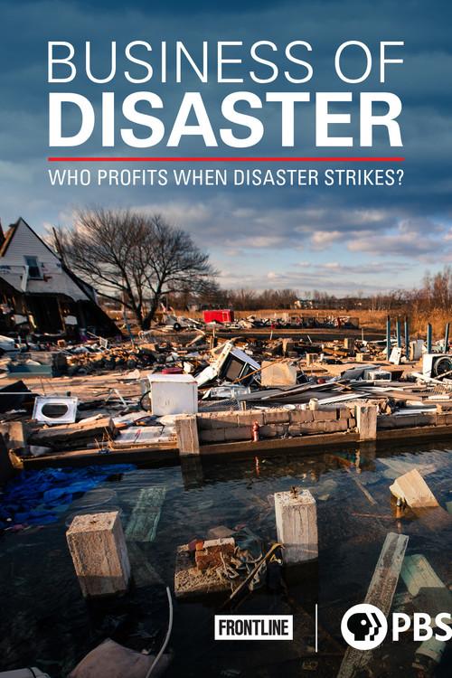 Business of Disaster 2016 official movie poster