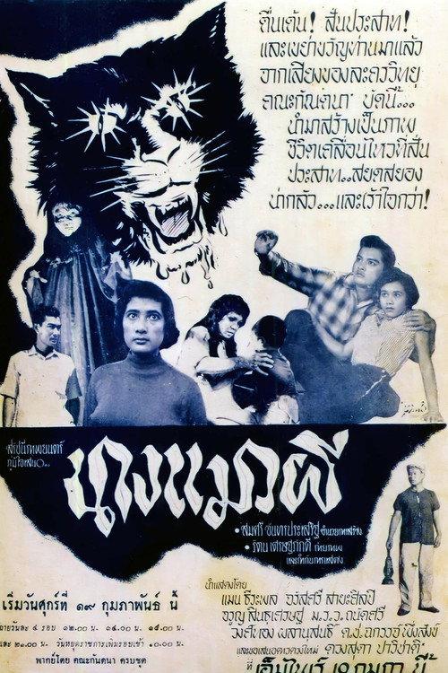 Ghost Cat Lady 1960 official movie poster