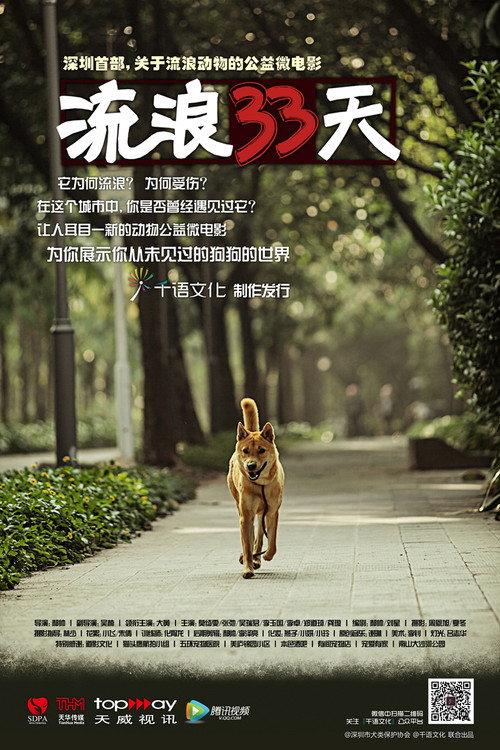 流浪33天 2013 official movie poster