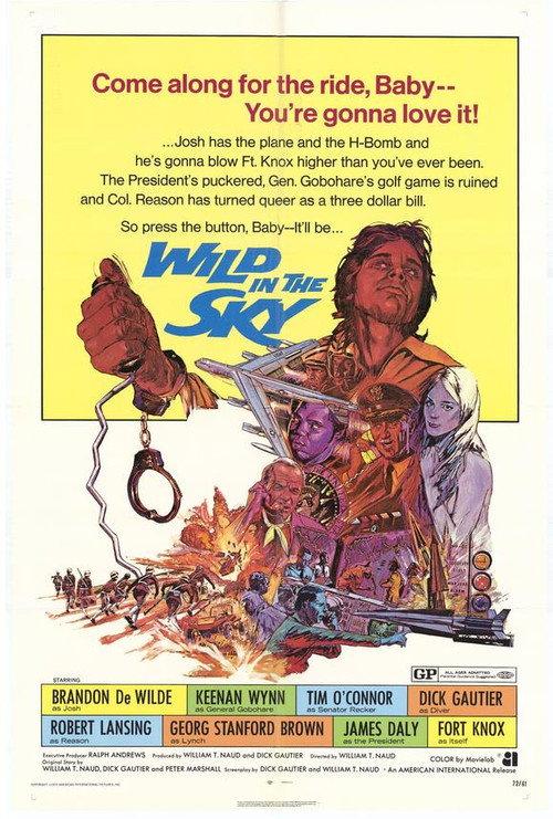 Wild in the Sky 1972 official movie poster