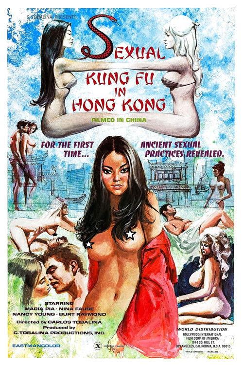 Sexual Kung Fu in Hong Kong 1974 official movie poster