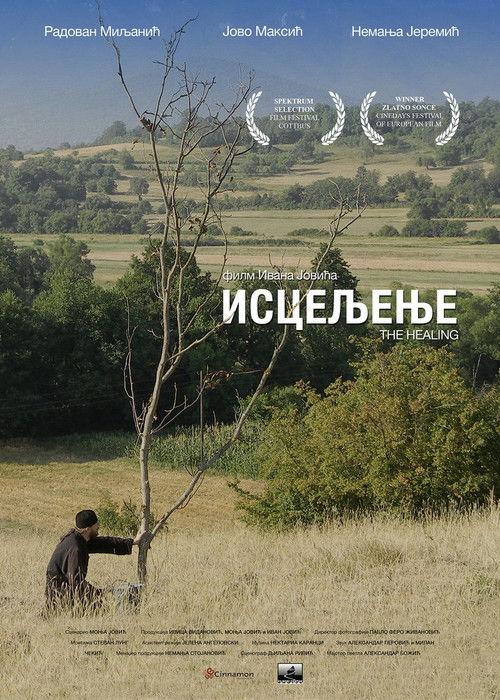 The Healing 2014 official movie poster