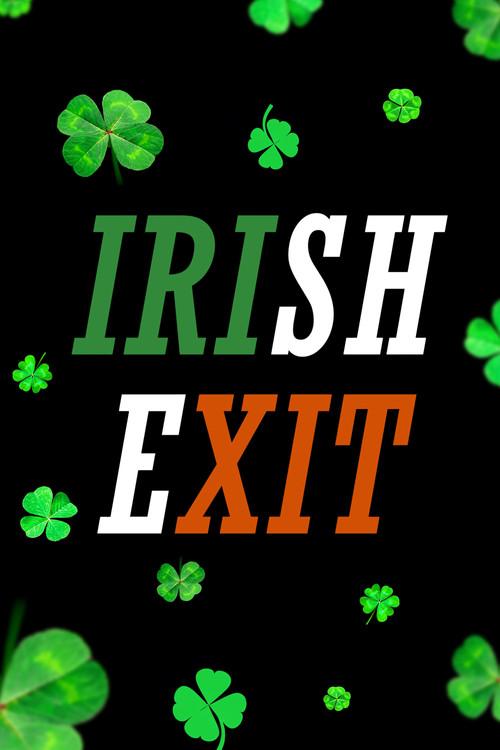 Irish Exit official movie poster
