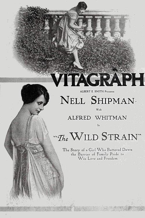 The Wild Strain 1918 official movie poster
