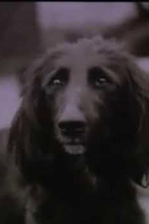 The Dog Was Running 1990 official movie poster