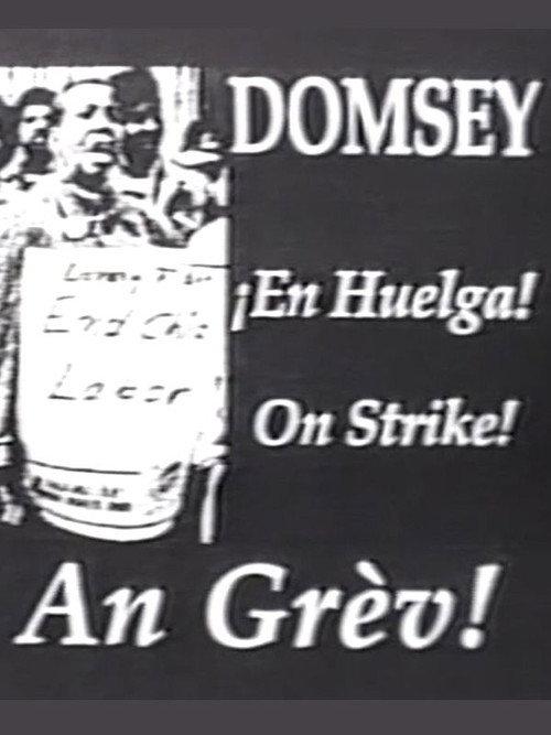 Domsey on Strike 1991 official movie poster