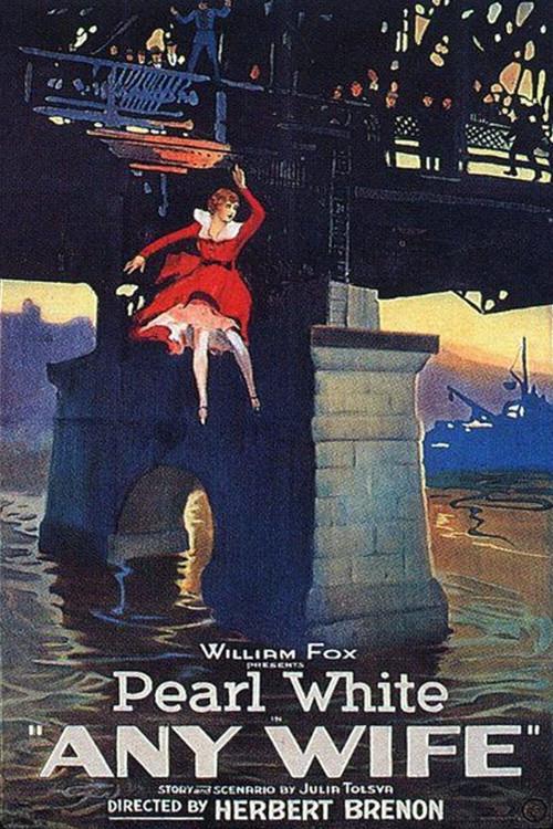 Any Wife 1922 official movie poster