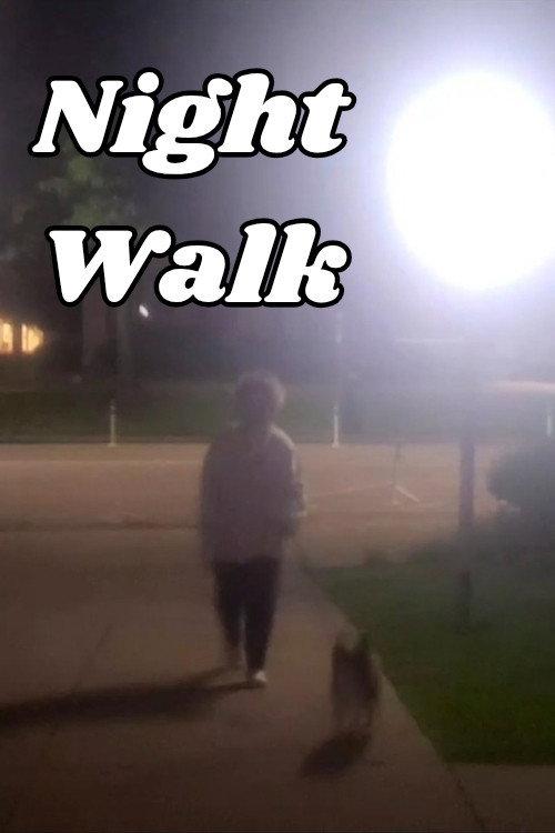 Night Walk 2023 official movie poster