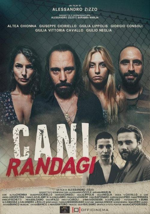 Cani randagi 2023 official movie poster