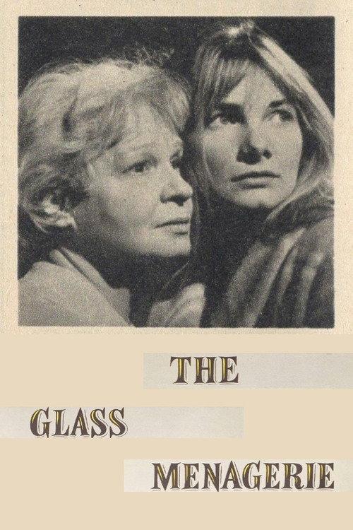 The Glass Menagerie 1966 official movie poster