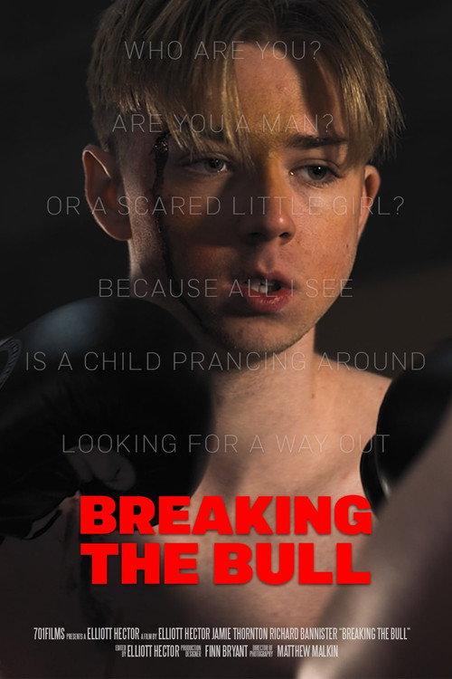 Breaking the Bull  official movie poster