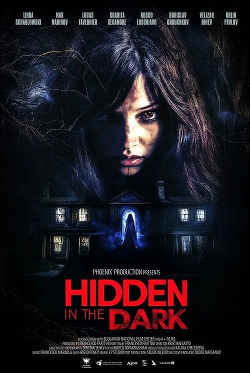 Hidden in the Dark 2025 official movie poster