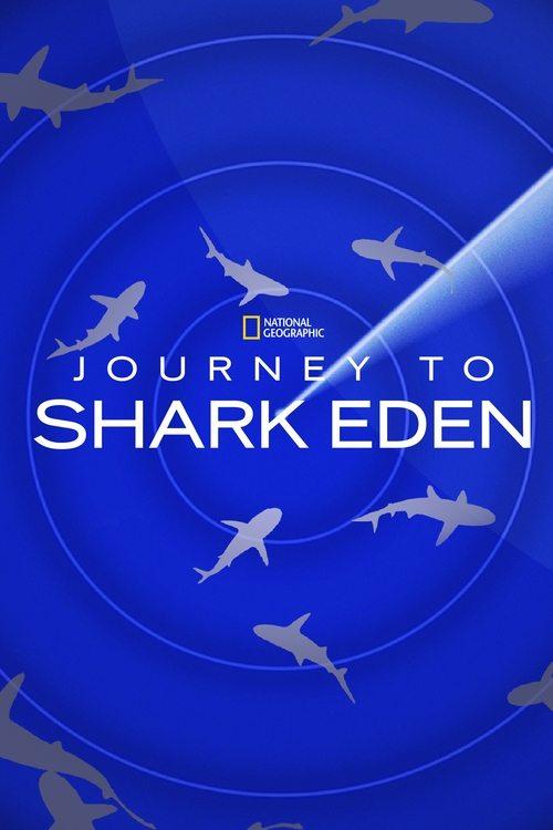 Journey to Shark Eden 2010 official movie poster