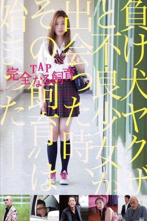 TAP: Perfect Education 2013 official movie poster