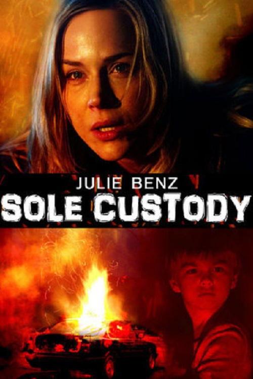 Sole Custody 2014 official movie poster