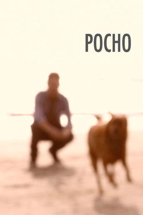 Pocho  official movie poster