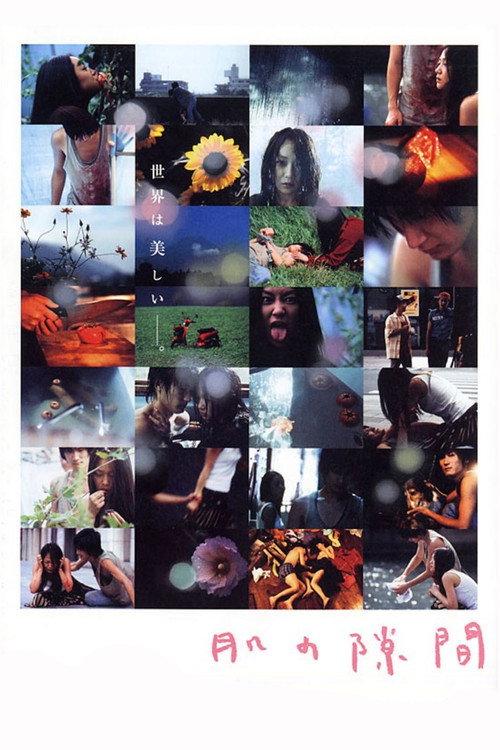 A Gap in the Skin 2005 official movie poster