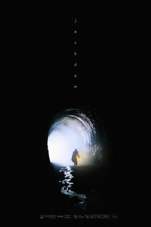 Jackdaw 2021 official movie poster