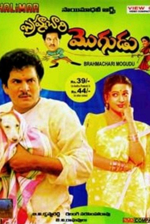 Brahmachari Mogudu 1994 official movie poster