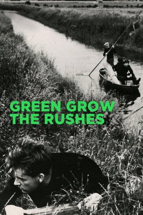 Green Grow the Rushes 1951 official movie poster