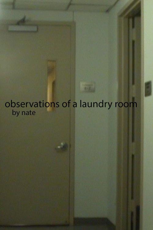 Observations of a laundry room 2023 official movie poster