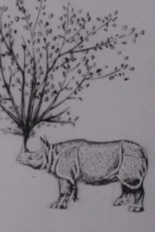 Rhinomorphose 1965 official movie poster
