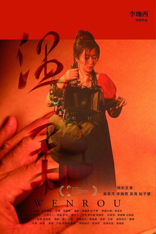 Wen Rou 2024 official movie poster