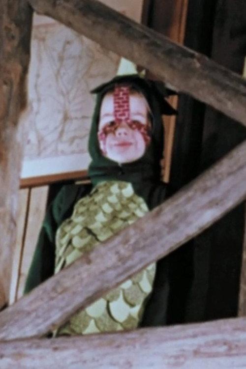 The Tale of Custard the Dragon 1965 official movie poster