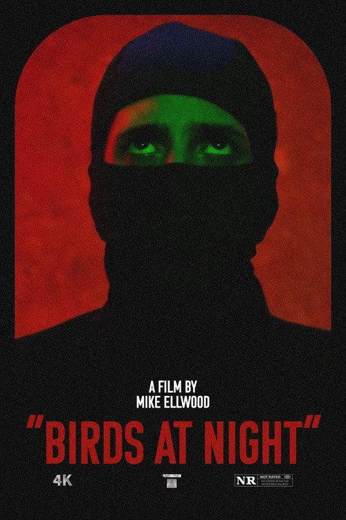 Birds at Night 2024 official movie poster