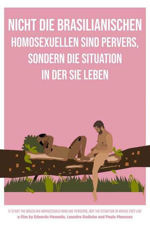 It Is Not the Brazilian Homosexuals Who Are Perverse, But the Situation in Which They Live 2021 official movie poster