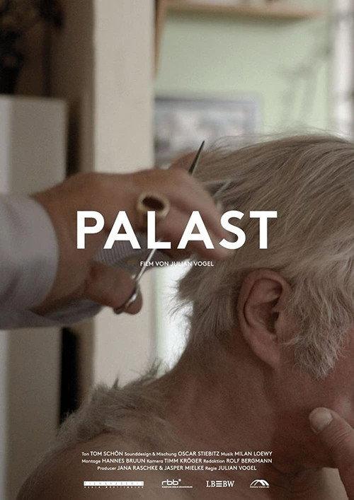 Palast 2013 official movie poster