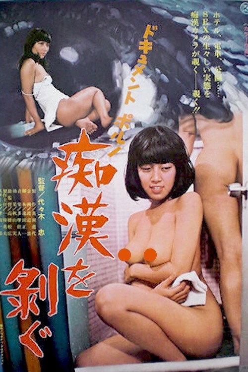 Document porno: Chikan o hagu 1977 official movie poster