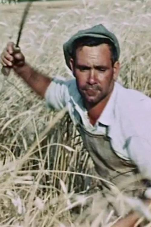 The Wheat Passion 1960 official movie poster