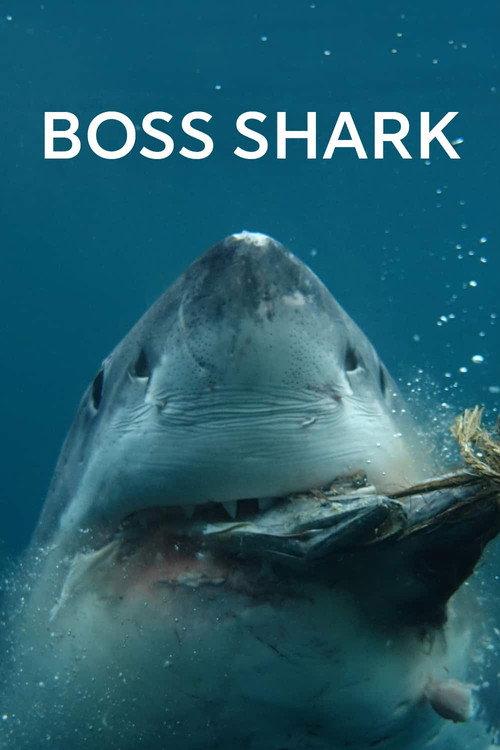 Boss Shark 2024 official movie poster