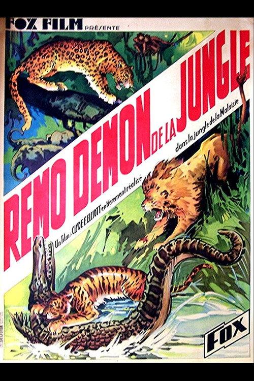 Devil Tiger 1934 official movie poster