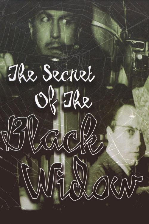 The Secret of the Black Widow 1963 official movie poster
