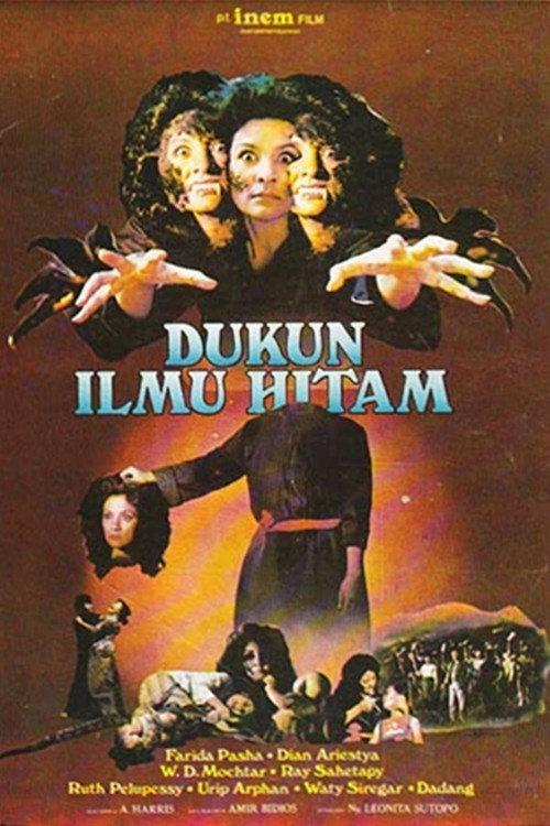 Black Magic Wizard 1981 official movie poster