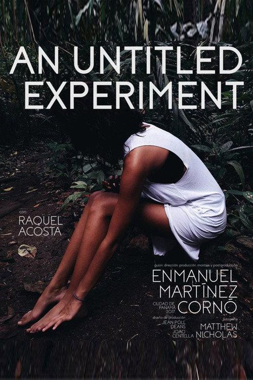 An Untitled Experiment 2017 official movie poster