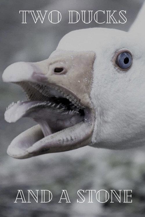 Two Ducks and a Stone  official movie poster