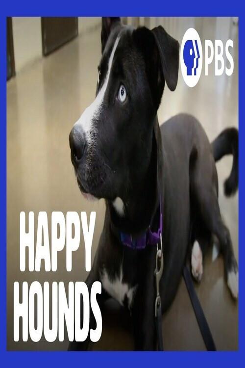 Happy Hounds 2020 official movie poster