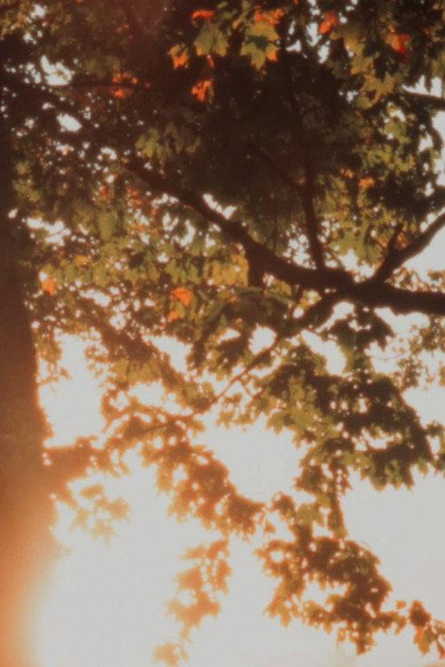 Autumn Sunrise 2022 official movie poster